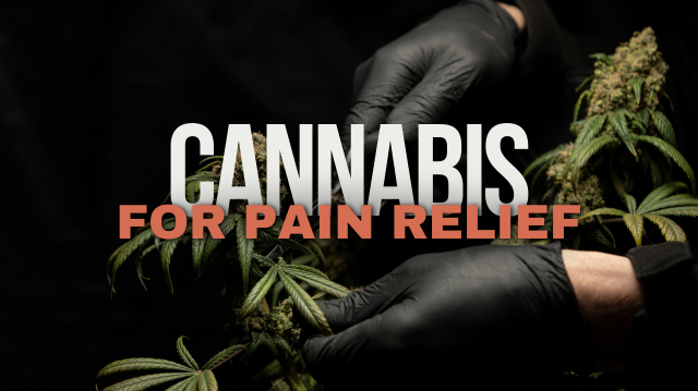 Medical Cannabis for Sickle Cell Pain Relief